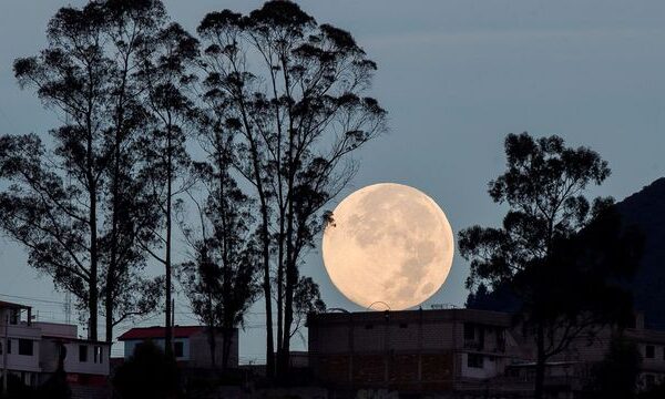 Superluna de julio 2022: cómo y cuándo ver la luna de ciervo