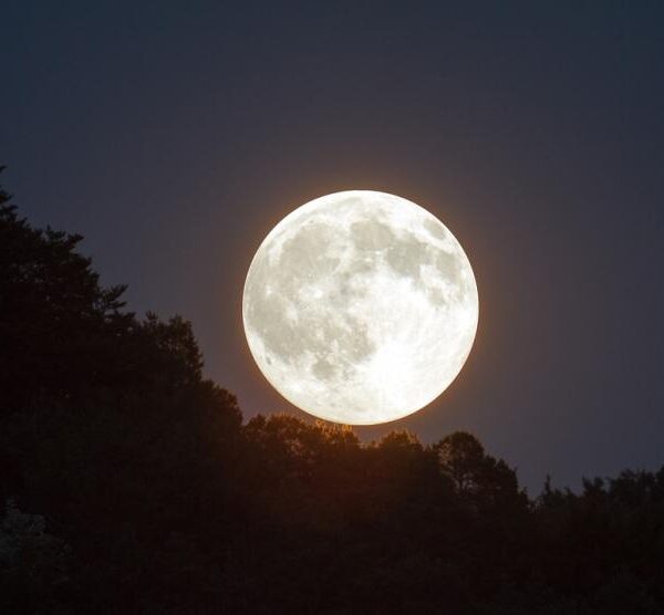 Calendario lunar junio 2023: todas las fases y cuándo hay luna llena este mes