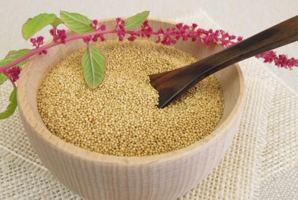 La semilla medicinal que fortalece los huesos y protege frente a la osteoporosis