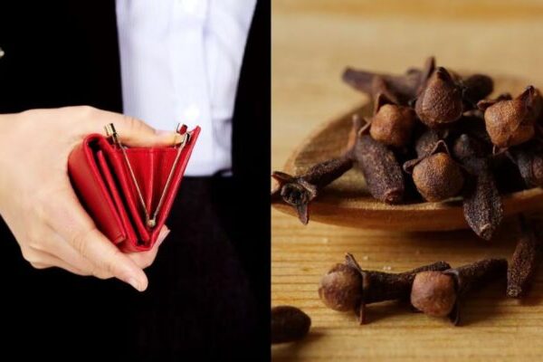 El lugar en donde debería poner el clavo de olor para atraer riqueza