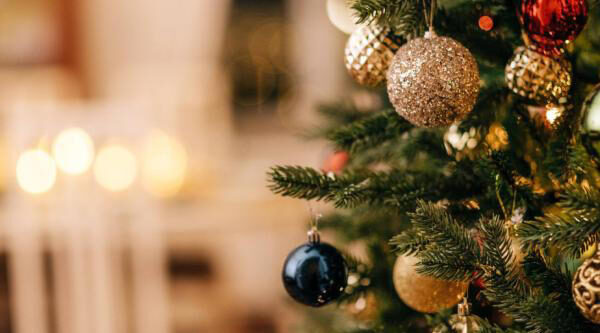 La planta que le ayudará a atraer la buena suerte esta Navidad y muchos tienen en casa