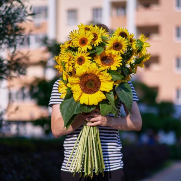 ¿Por qué el 21 de marzo se obsequian flores amarillas?