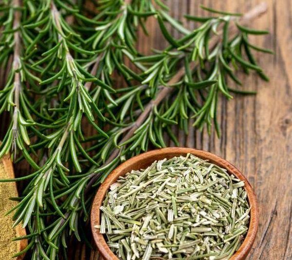 El aroma del romero podría mejorar la memoria hasta un 70%, según estudio británico